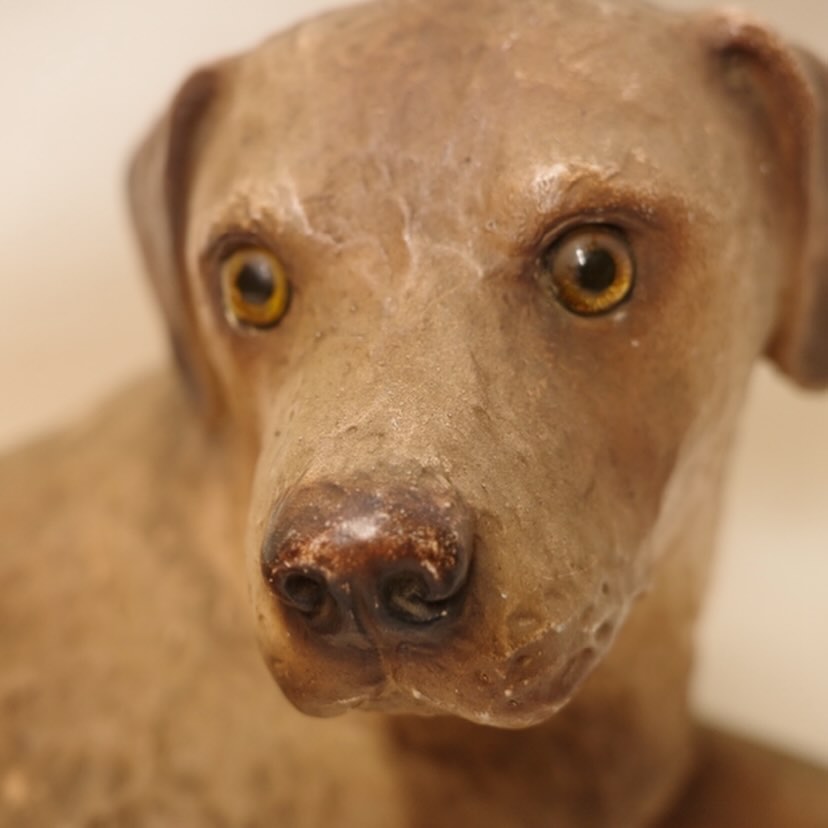 番犬にはならないけど待つよいぬさん