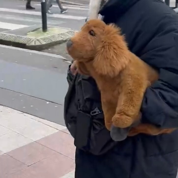 のんびりわんさん