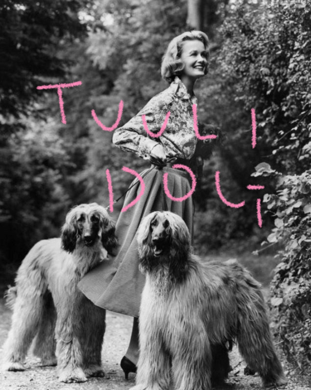 ＴＵＵＬＩ ＤＯＧ