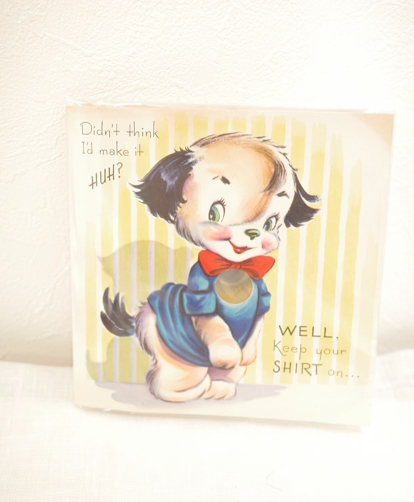 青ボタンがチャーミングいぬさんレター