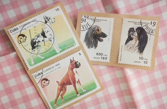 風の便りを感じる犬たち