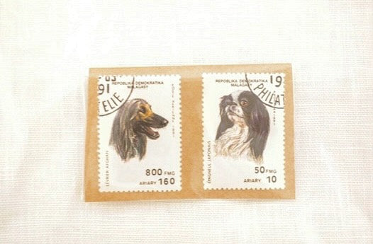 風の便りを感じる犬たち