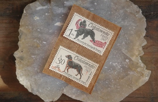 60's いぬさん stamp