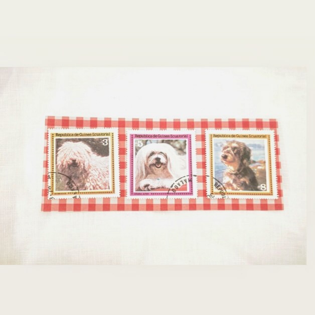 おじいさん顔 🐕‍🦺 ？♡ 犬さん集合stamp