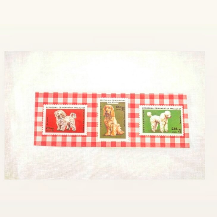 かわいい3匹のプードルのstamp
