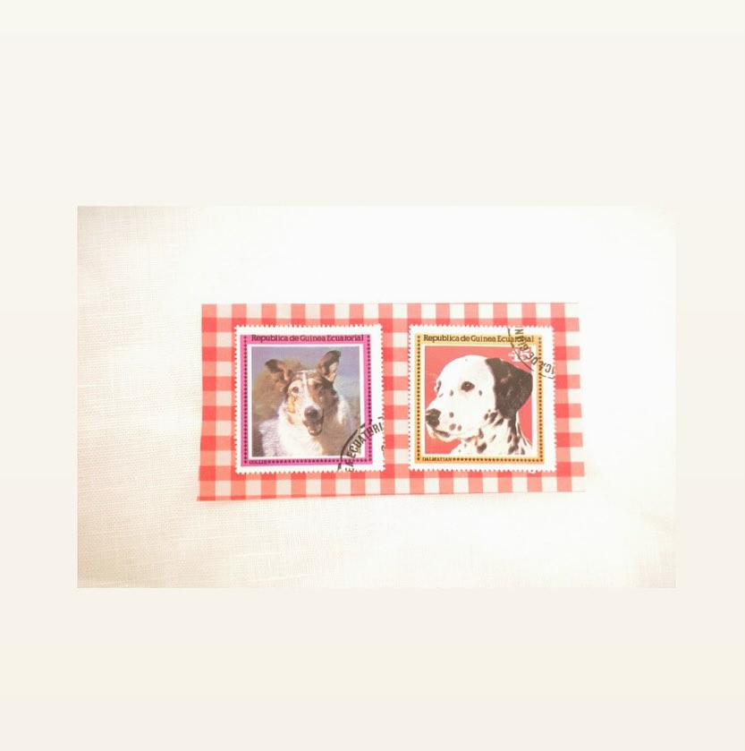 凛々しい2匹stamp