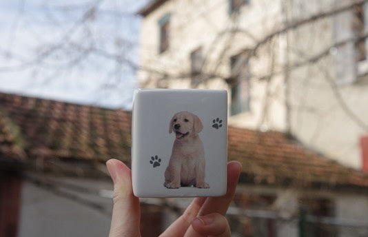 キレイ好きさんのための犬さん文具立て