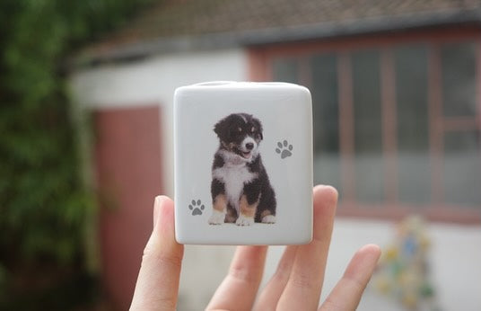 キレイ好きさんのための犬さん文具立て