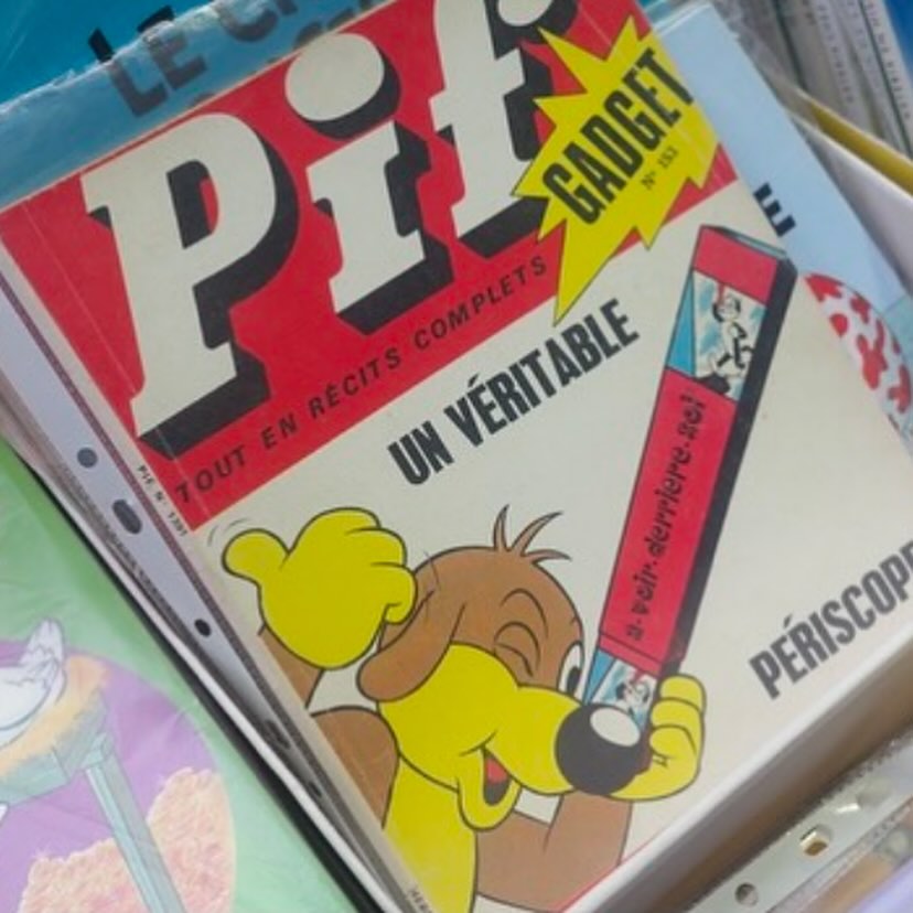 犬のpif _3