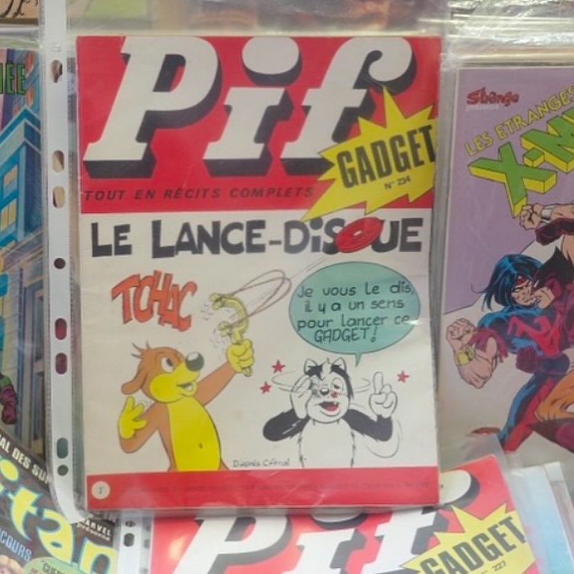 犬のpif _4