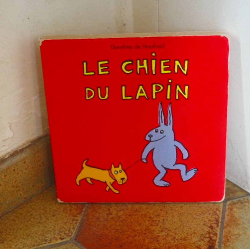 Le chien du lapin