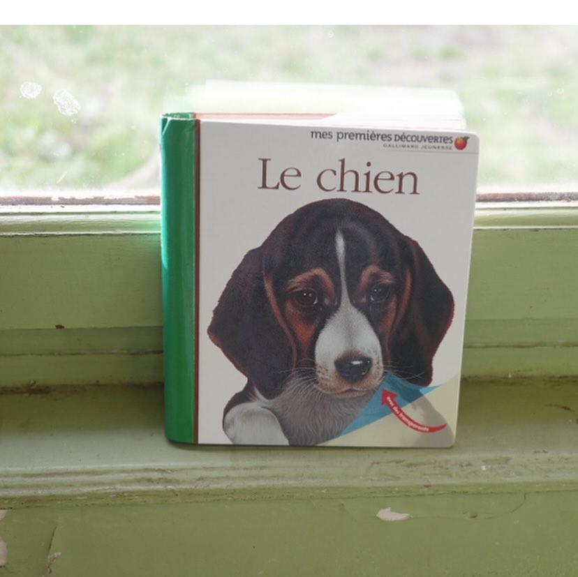 Le chien