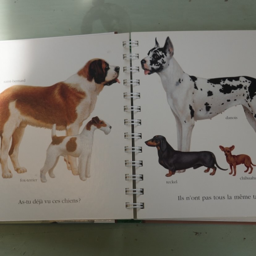 Le chien