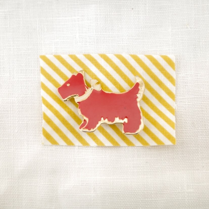 red scottish-terrier