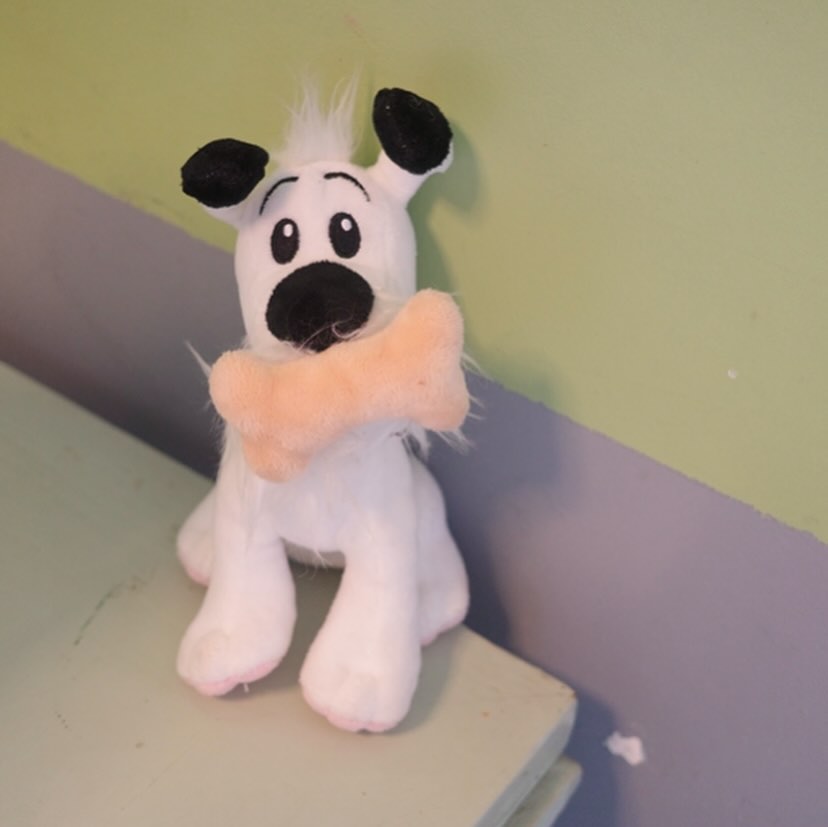 IDEFIX_3