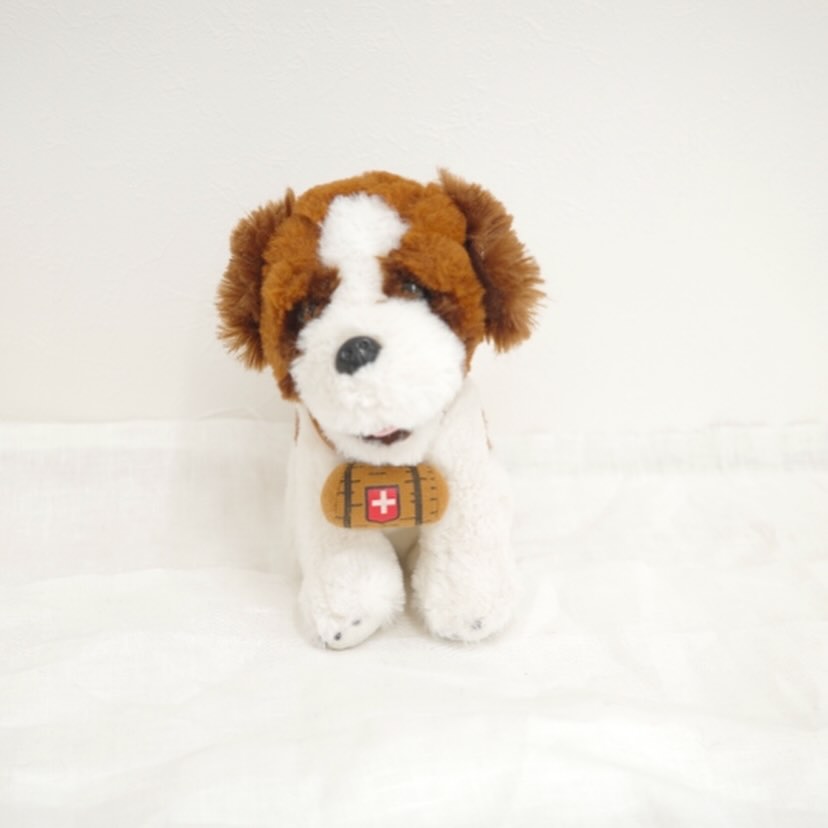 Saint-Bernard