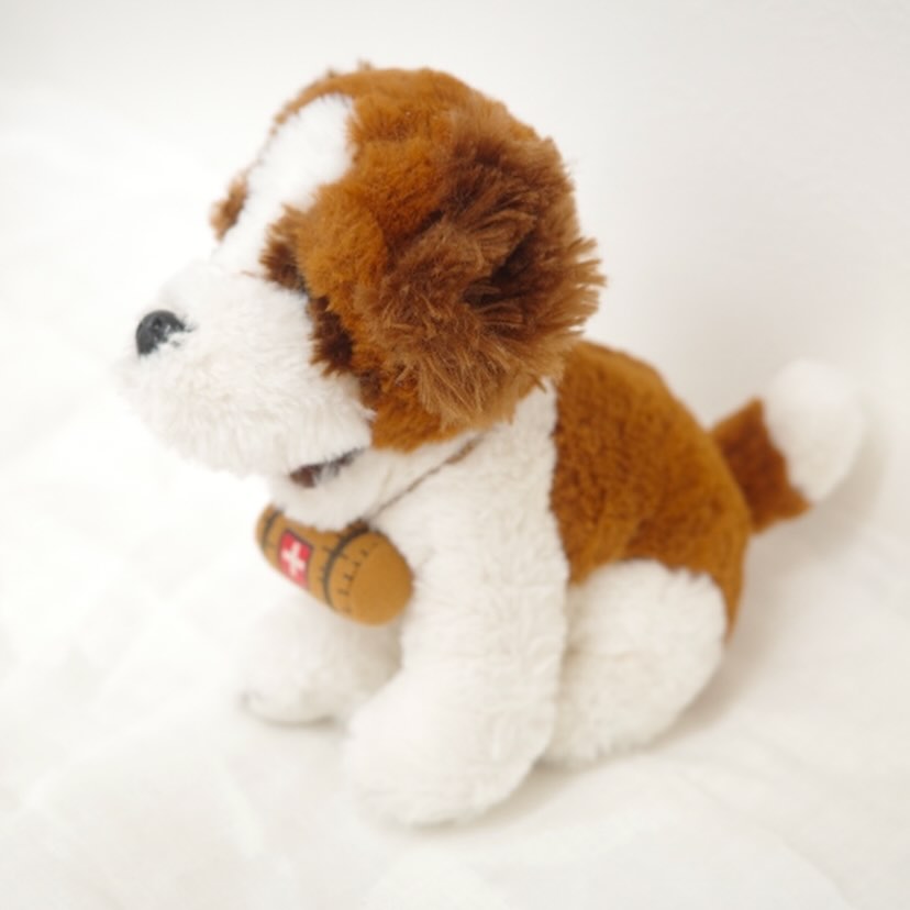 Saint-Bernard