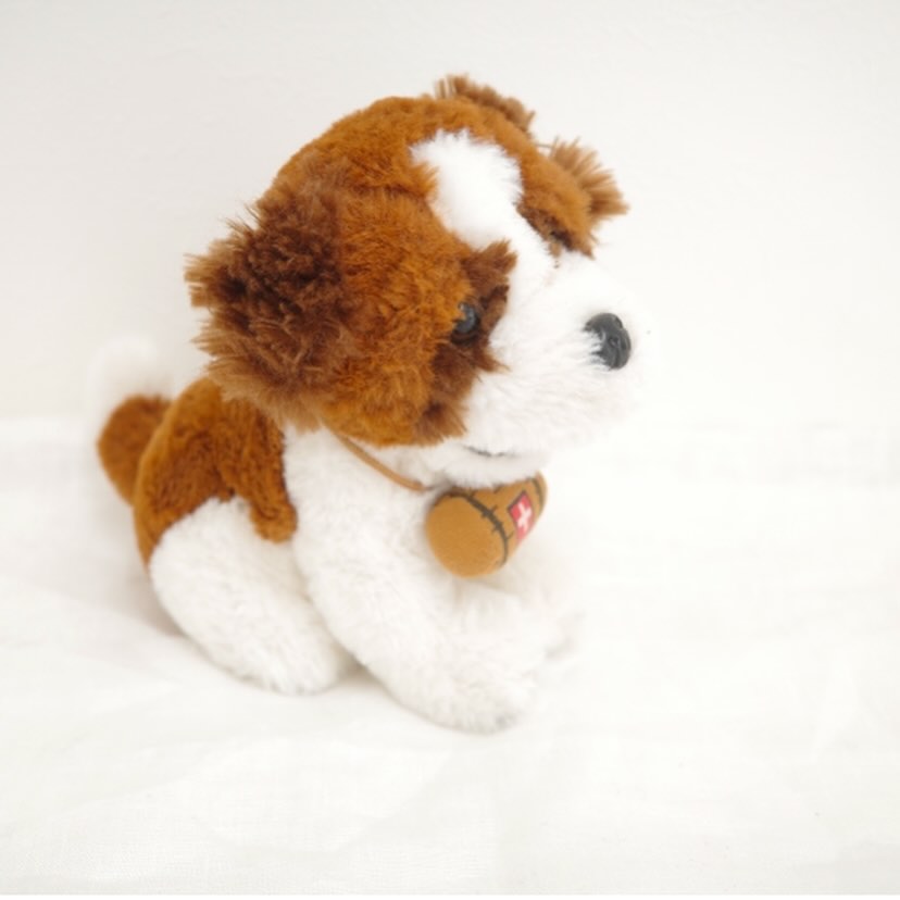 Saint-Bernard