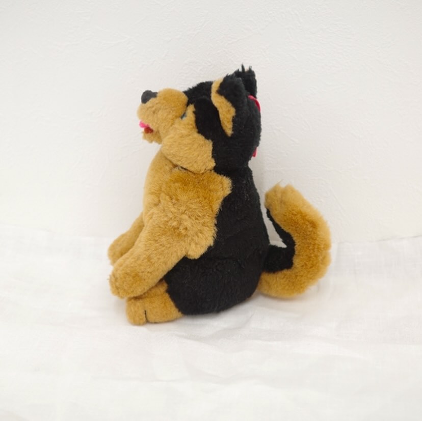 ペロっとわんさん