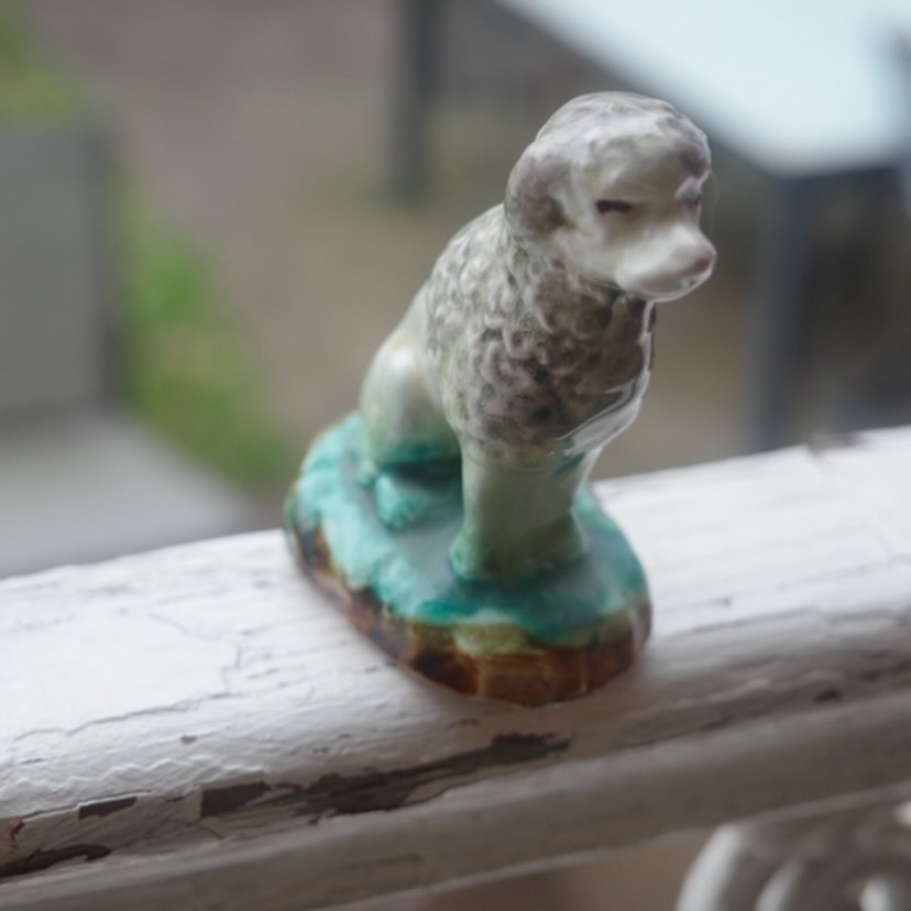 Mouton et chien
