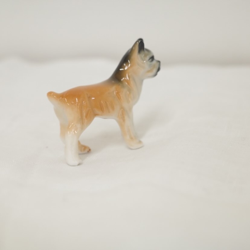 寡黙な犬さん