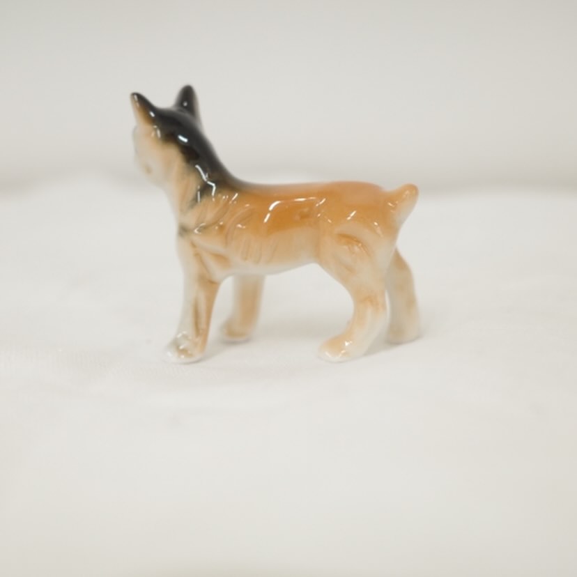 寡黙な犬さん