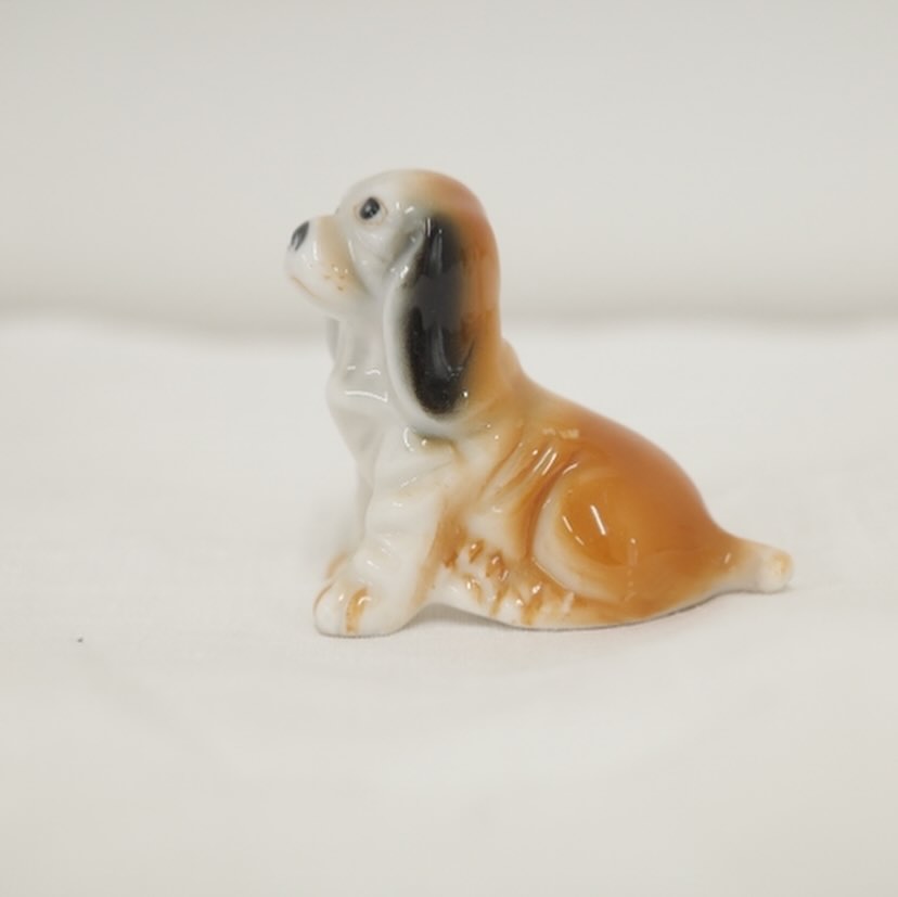 ふわっとワンさん