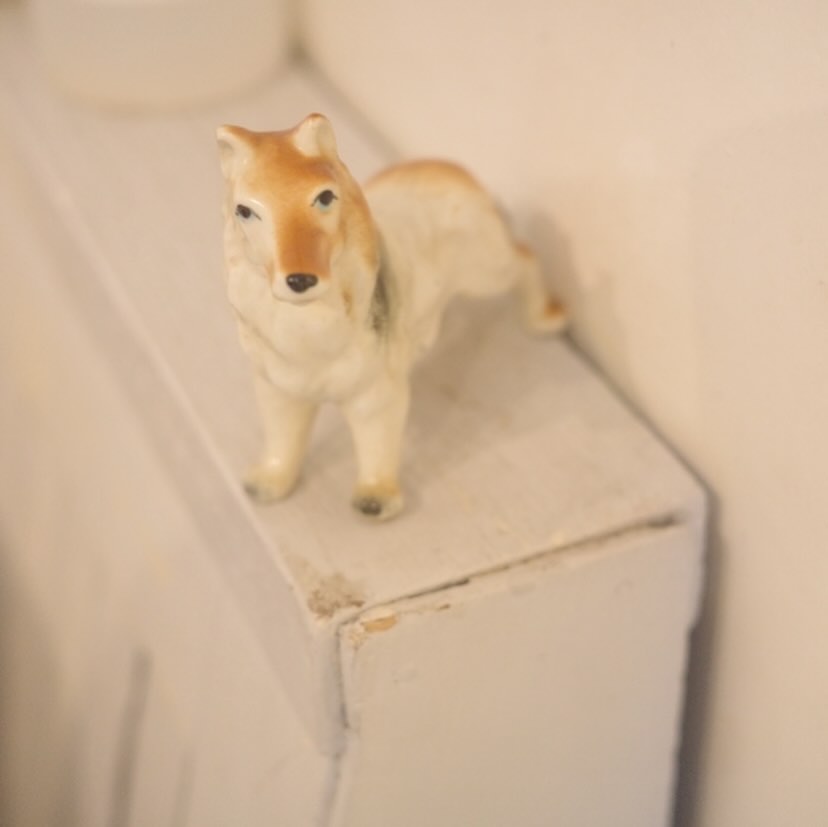 きりっとハンサム犬さん