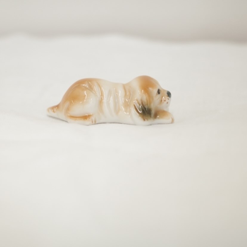 ふせっ！なDOGさん