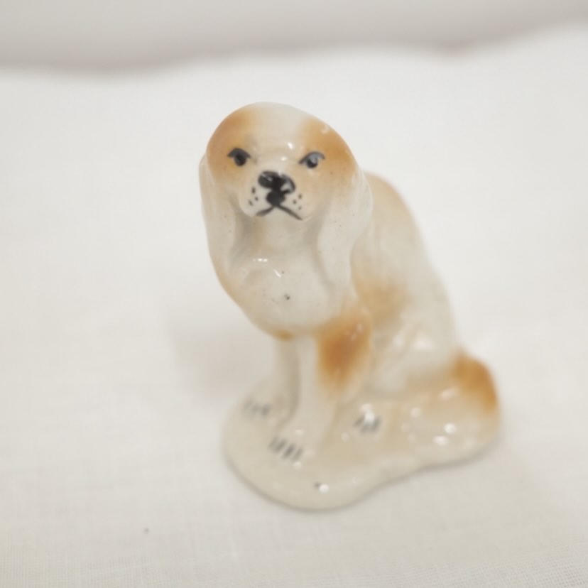 すてきな毛並みでしょ犬さん