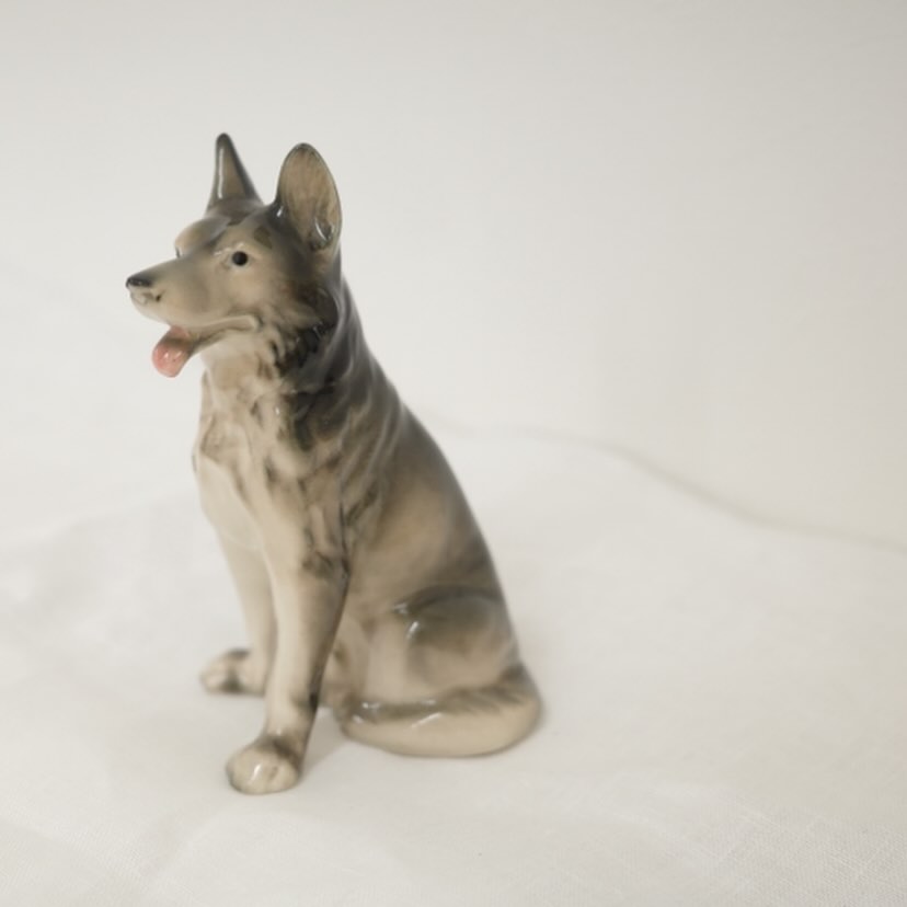 楽しい世界を夢みて犬さん