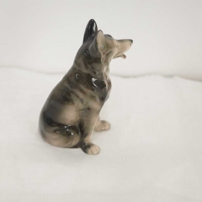 楽しい世界を夢みて犬さん