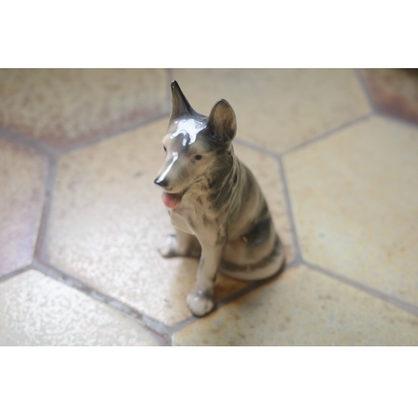 楽しい世界を夢みて犬さん