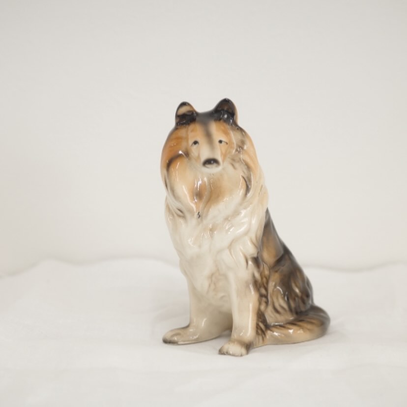 トロ～ンとしちゃうよ犬さん