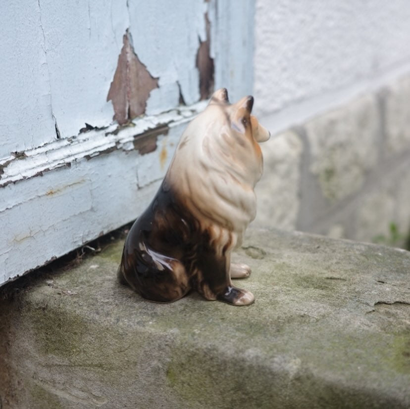 トロ～ンとしちゃうよ犬さん