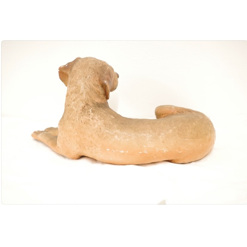 番犬にはならないけど待つよいぬさん