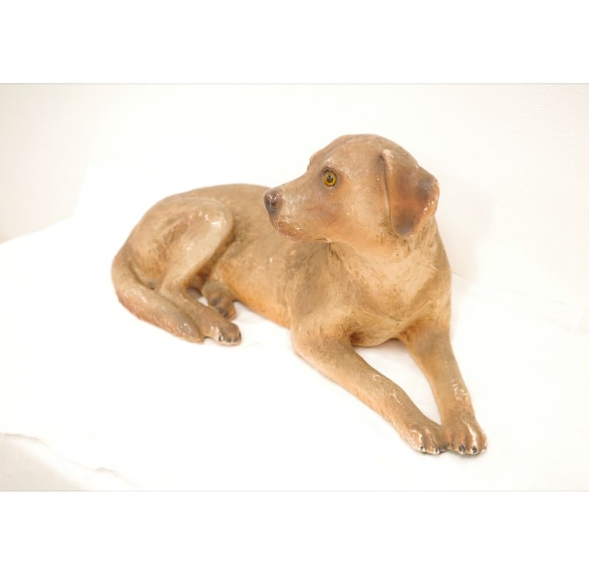 番犬にはならないけど待つよいぬさん