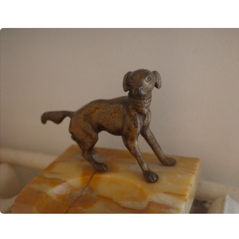 アクセサリーお待ちしてますDogさん