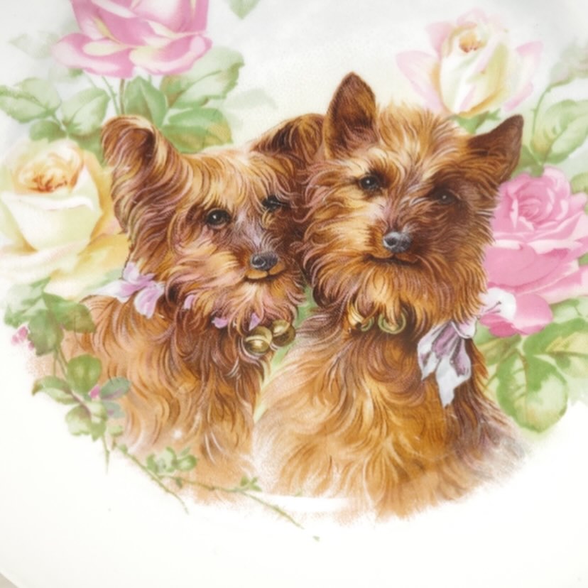 Deux mignons