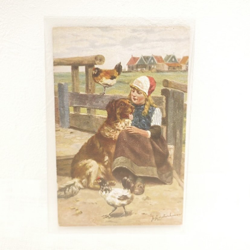 いつの時代も犬さんは家族ポストカード