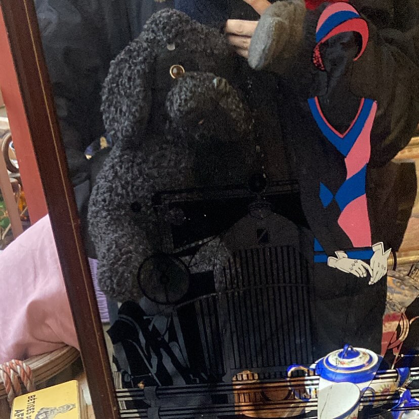 ずっとそばにいぬさん