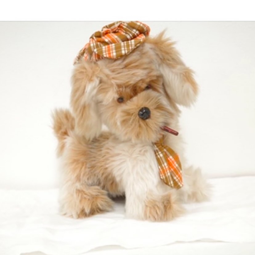 探偵犬現る！