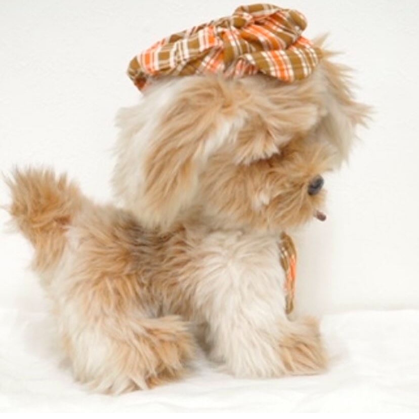 探偵犬現る！