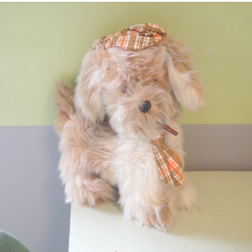 探偵犬現る！
