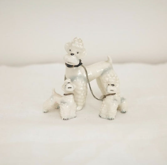 ピクニックにいきましょブードルさん