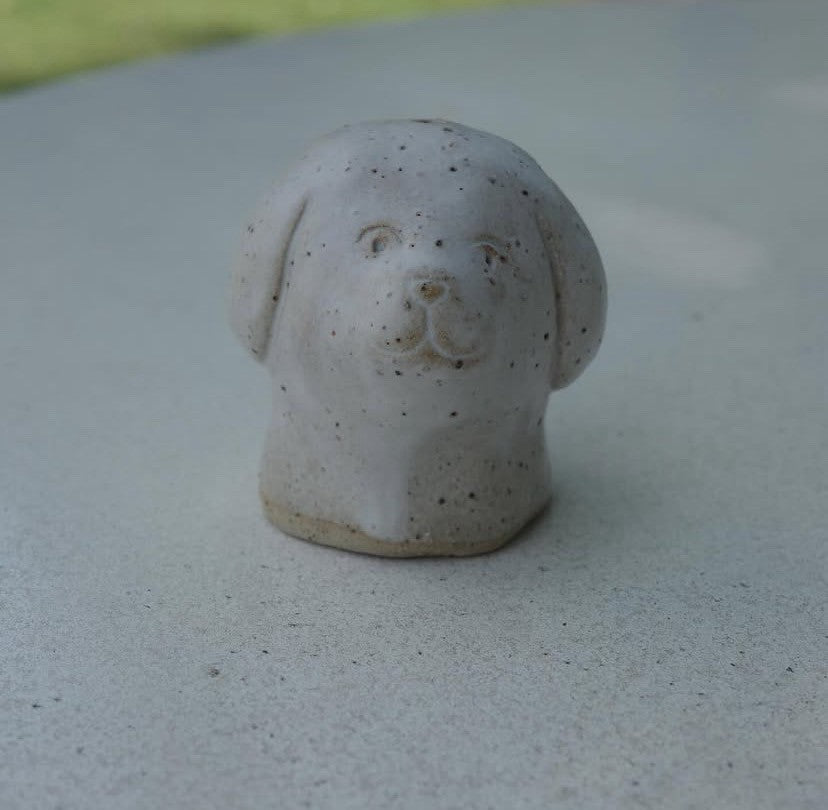 Un chien rond(アン シアン ロン)_2